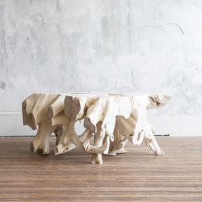 Root Coffee Table IV