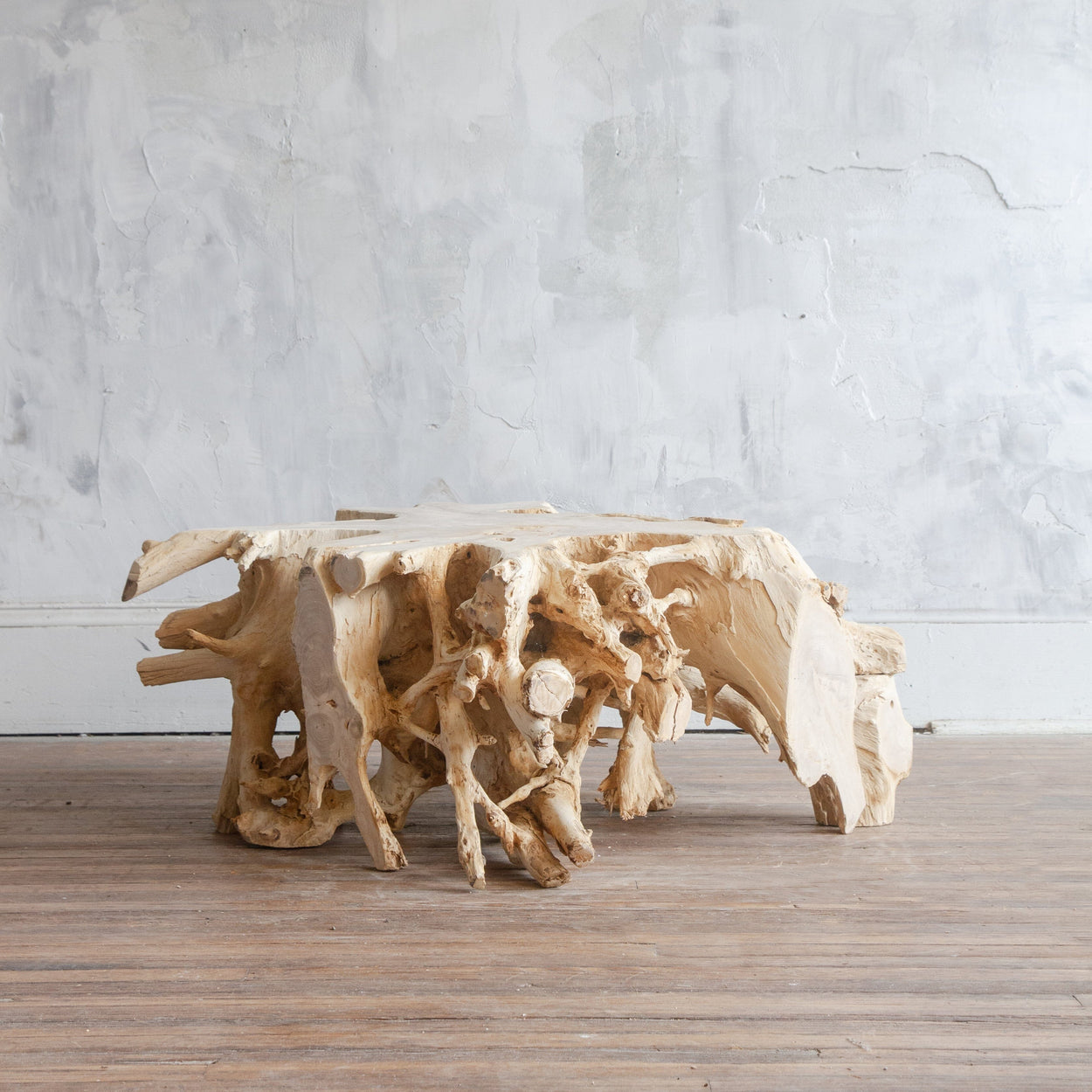 Root Coffee Table VII