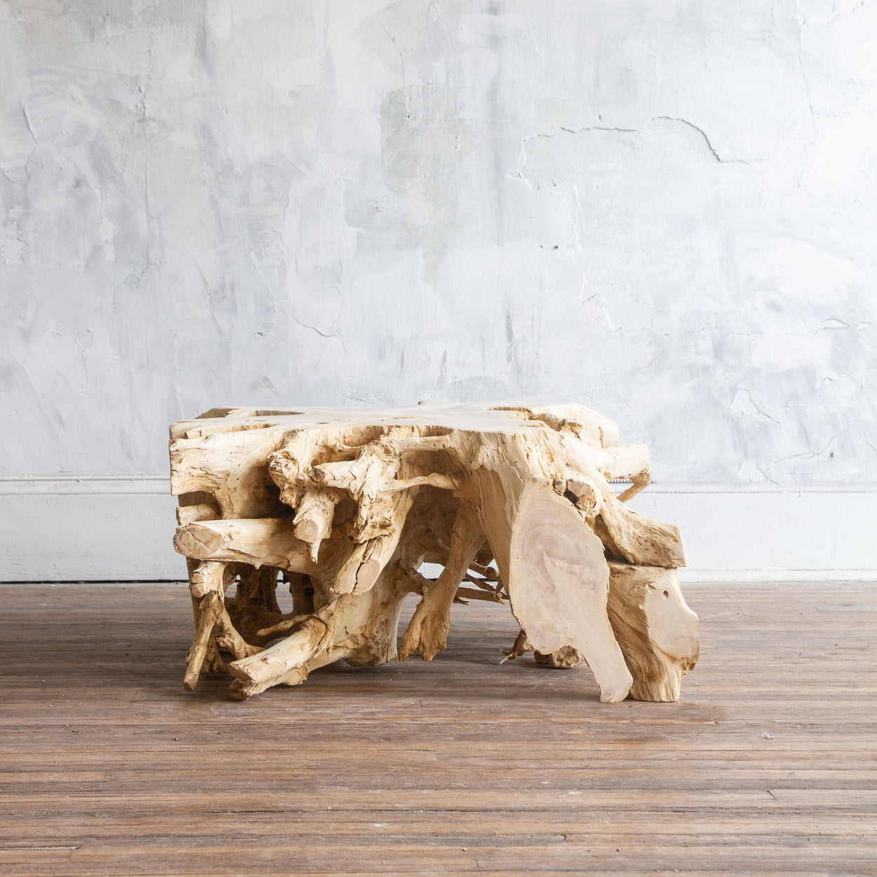 Root Coffee Table VII