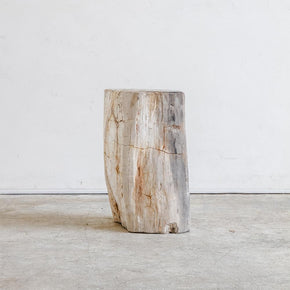 Petrified Wood Table L I