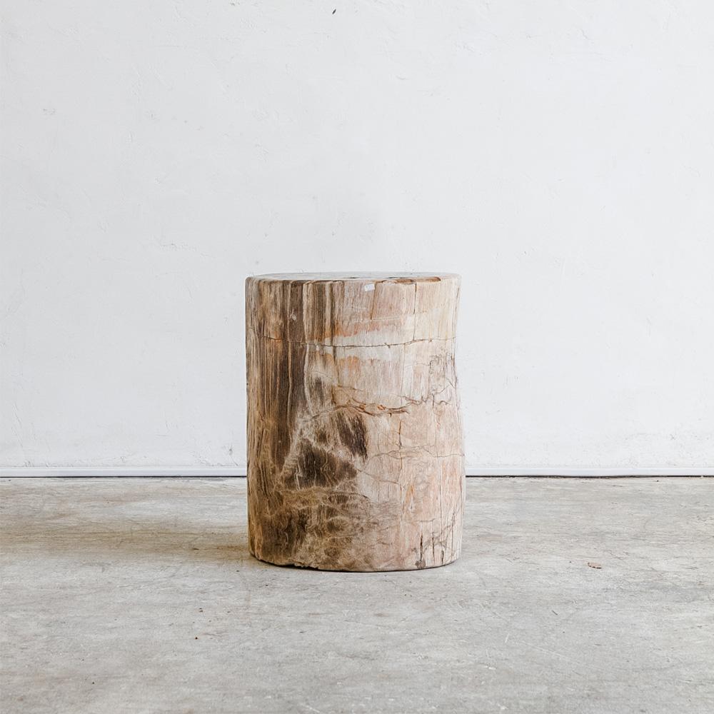 Petrified Wood Table M I