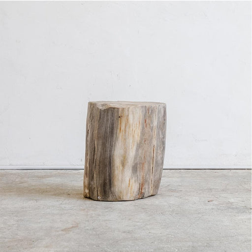 Petrified Wood Table M II