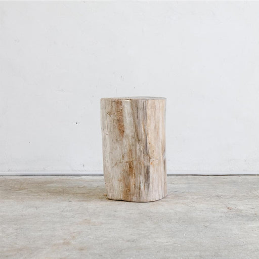 Petrified Wood Table M III