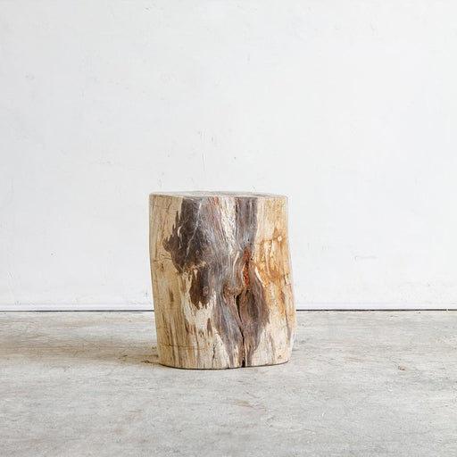 Petrified Wood Table M V