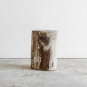Petrified Wood Table M VI