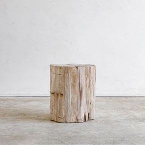 Petrified Wood Table Sm I