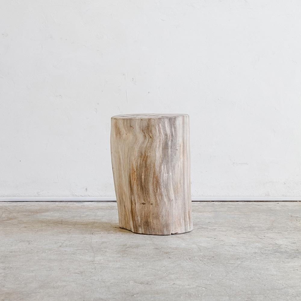Petrified Wood Table Sm II
