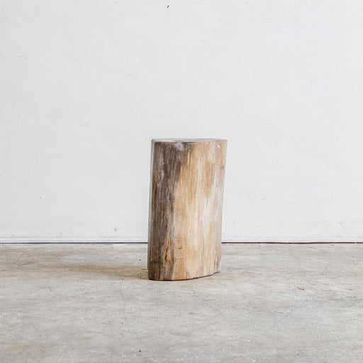 Petrified Wood Table Sm III